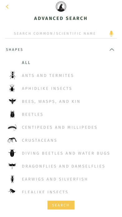 NWF Guide to Insects & Spidersのおすすめ画像6