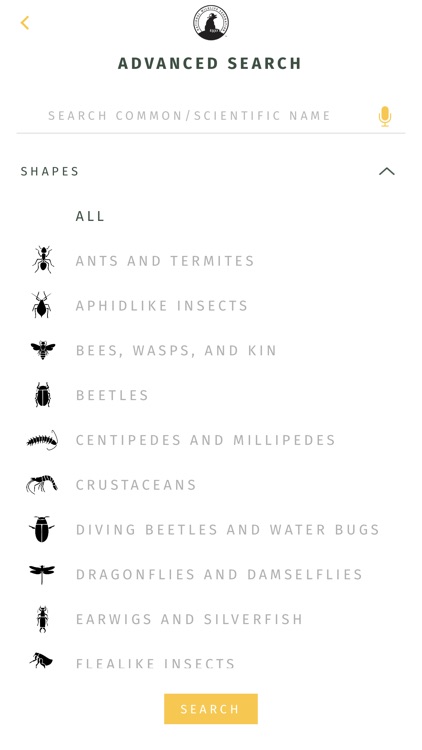 NWF Guide to Insects & Spiders screenshot-5