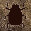 Bugging Out - Shooting Bugs - iPhoneアプリ