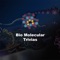 Bio Molecular Trivias  has amazing set of Bio Molecular related questions categorized into levels as per your knowledge, you have to select the right answers from the given options in the time limit