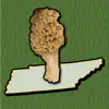 Tennessee Mushroom Forager Map App Feedback