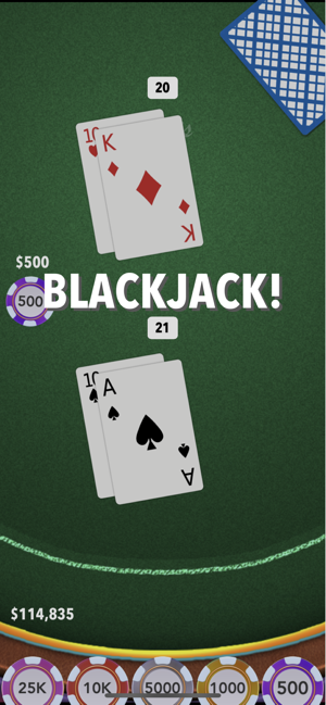 Blackjack Masters(圖9)-速報App