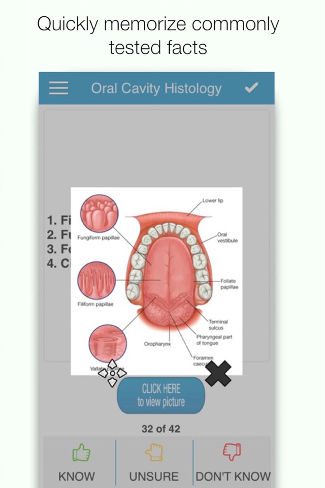 NBDE Anatomy/Histo Cram Cards screenshot 2