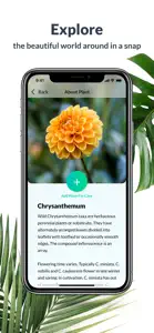 Plant Identification Lite screenshot #3 for iPhone
