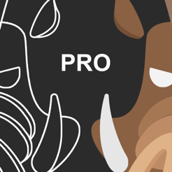 ‎Cartoon Animator 4 Pro