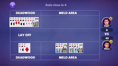 Gin Rummy Mania-No Ads,No Stop Screenshot