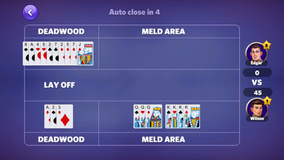 Gin Rummy Mania Screenshot