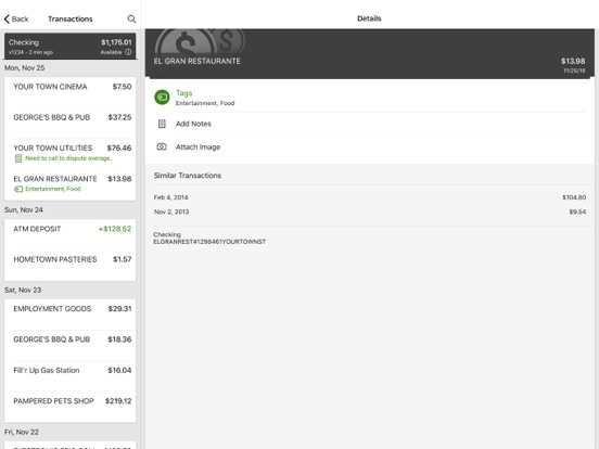 FNB Iron Mountain iPad screenshot 2 - Finance app