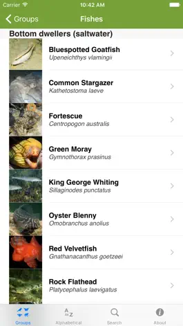 Game screenshot Field Guide to Victorian Fauna hack