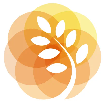 Wellnesso by Thaire Innovation Читы