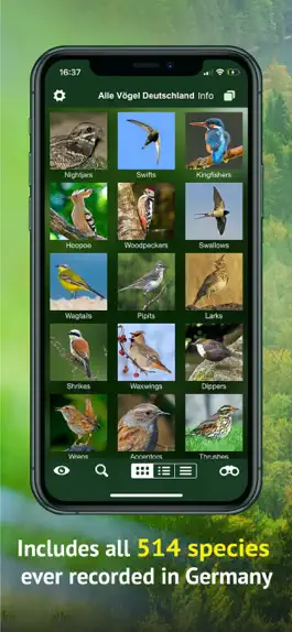 Game screenshot All Birds Germany hack