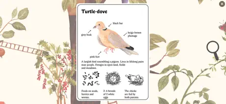 Little Mouse's Encyclopedia