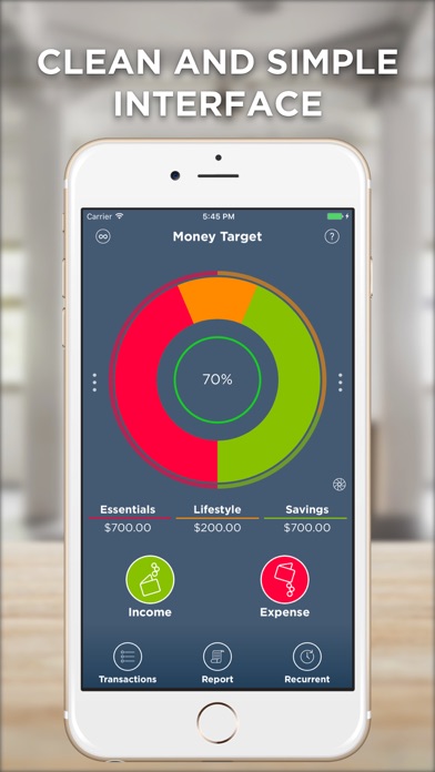 Money Target Screenshot