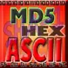 HEX ASCII BASE64 MD5 SHA conv. problems & troubleshooting and solutions