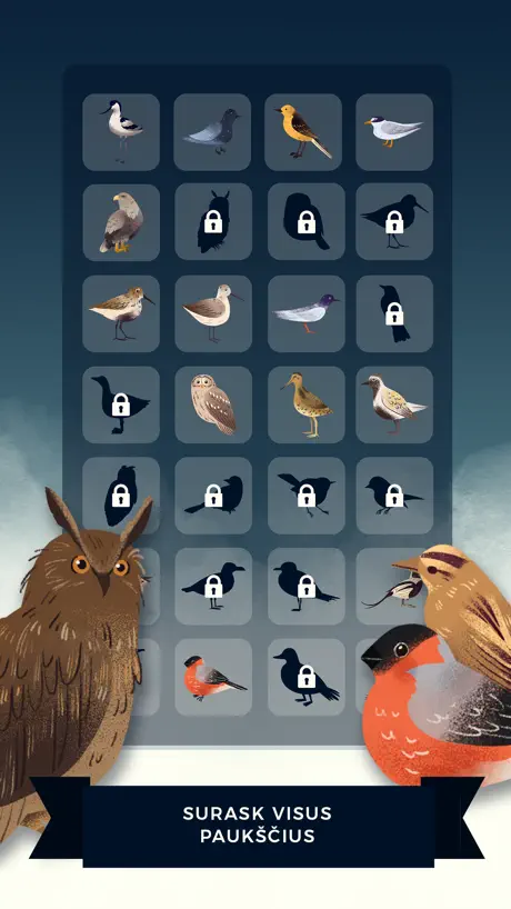 Birds Routes