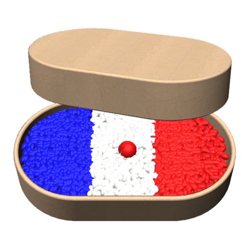 DELF DALF French Language Quiz icon