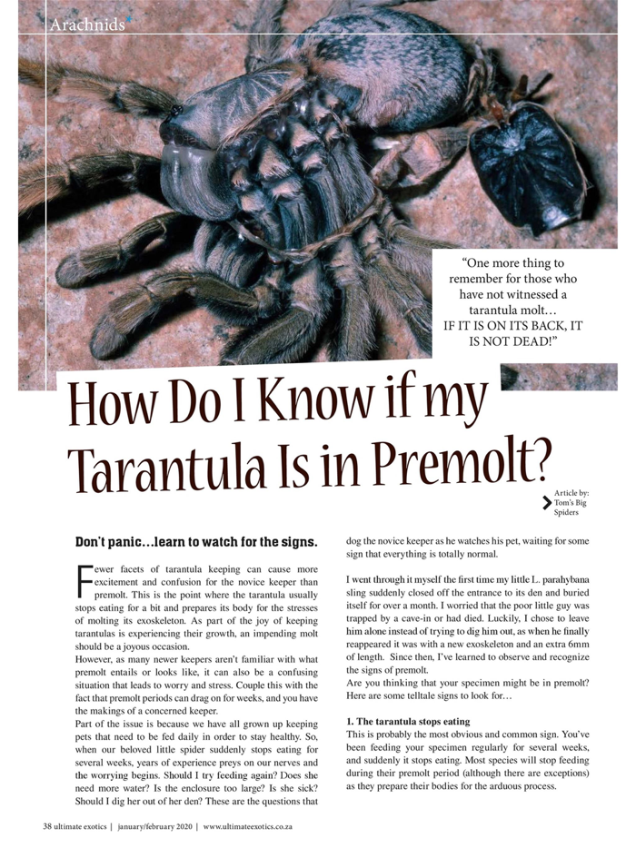 Ultimate Exotics Magazine