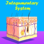 Download Skin: Integumentary System app