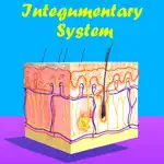 Skin: Integumentary System App Support