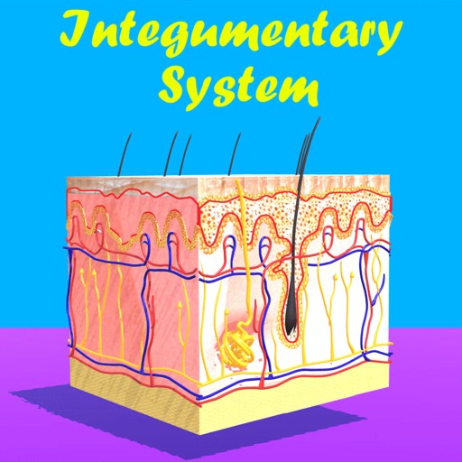 Skin: Integumentary System icon