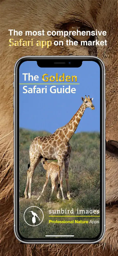The Golden Safari Guide