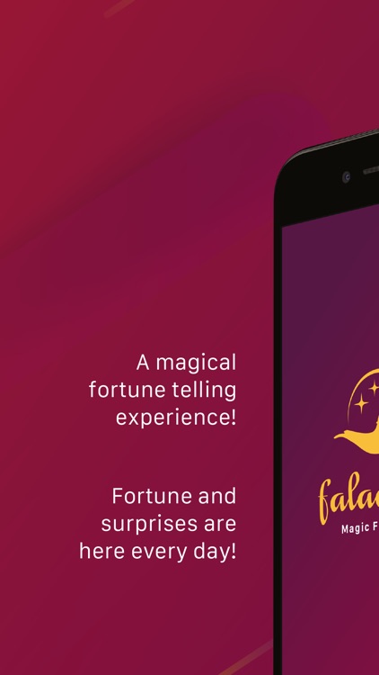 Faladdin - Fortune Teller