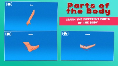 Parts of the Body Screenshot