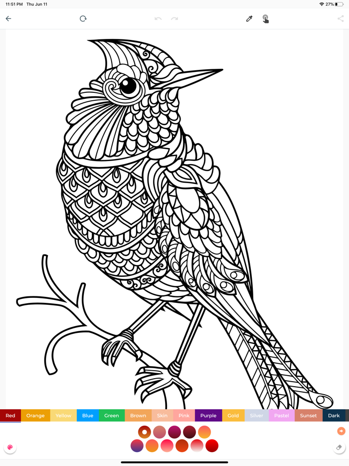 Coloring Book Pro Adult Relax