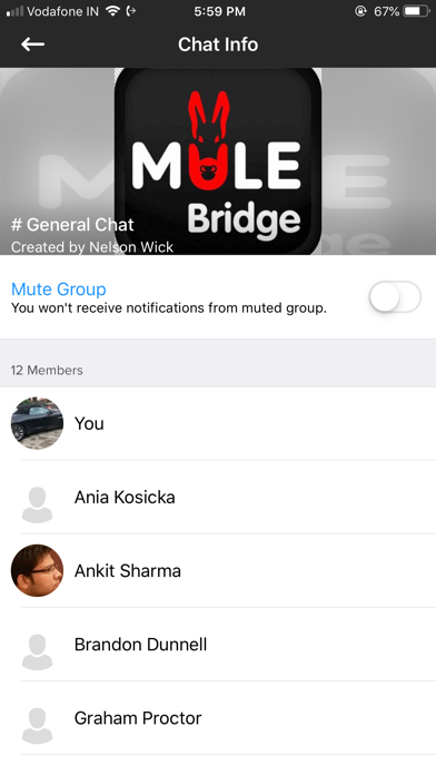 MULE Bridge screenshot 3