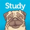 Take control of math with our precise, step-by-step help, friendly test prep, and your very own unique study plan