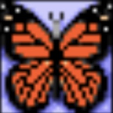 Activities of SignCueQuest