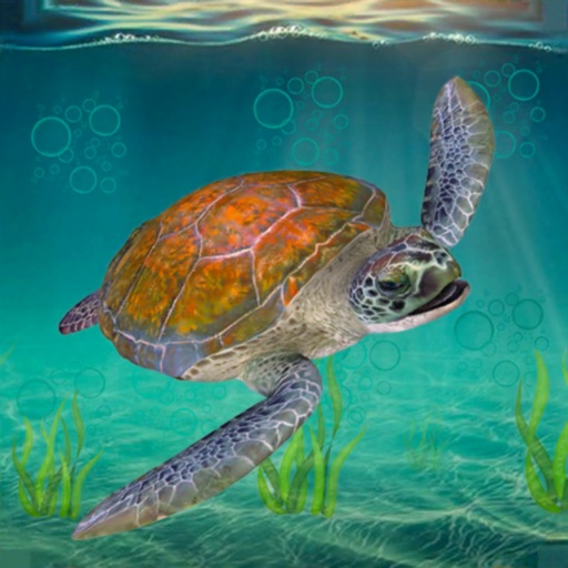 Sea Turtle Survival Sim Games iOS App