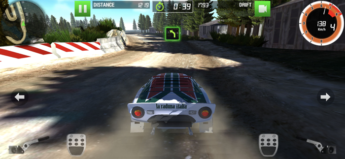 Rally Racer Dirt