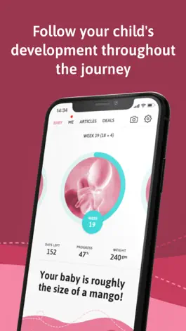 Game screenshot Belly - Your pregnancy app mod apk