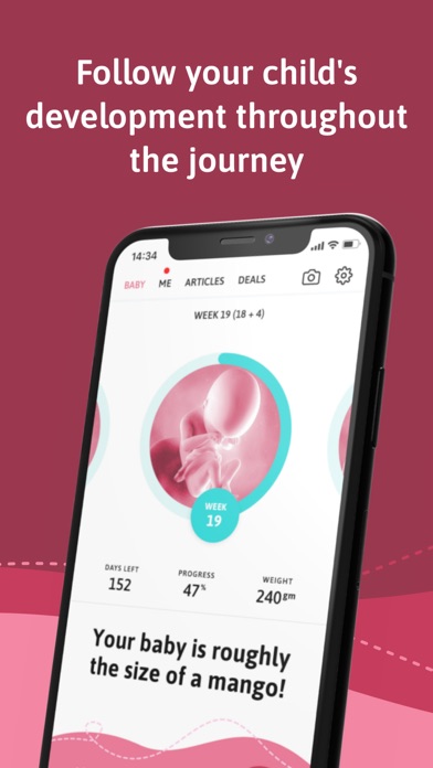 Belly - Your pregnancy app Screenshot