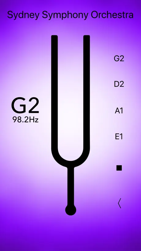 Double Bass Tuner Professional