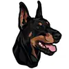 My Doberman Pinscher App Delete