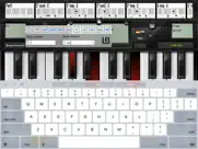 chordpainter айпад изображения 3