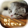 癒しの猫育成ゲーム3D