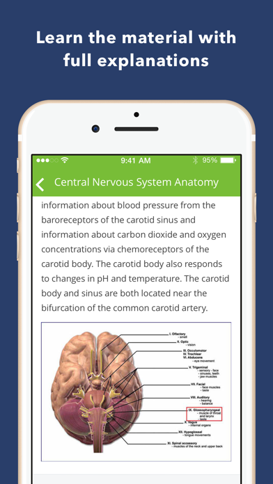 Neurology Exam Review Q&Aのおすすめ画像3