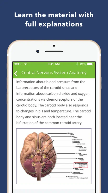 Neurology Exam Review Q&A screenshot 3 of 5