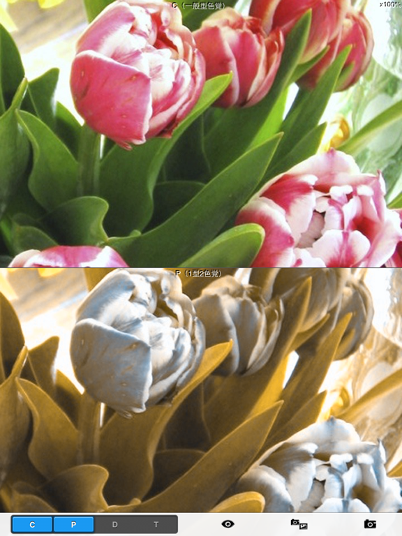 Chromatic Vision Simulator iPad screenshot 4 - Education app