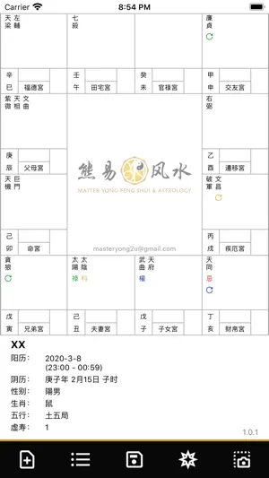 飞星紫微斗数 Lite screenshot 3
