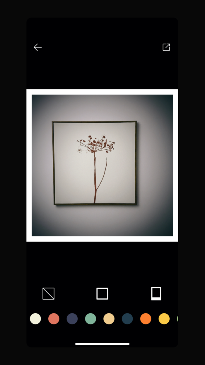 Feilin-复古特效胶片相机，体验自制胶片的美感