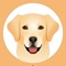 Finally an App tailor made for your Labrador Retriever