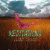 Meditations: Llano Texas App Feedback