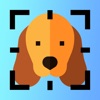 Dog Breed Identifier AI icon