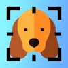 Dog Breed Identifier AI App Delete