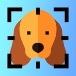 Download Dog Breed Identifier AI app