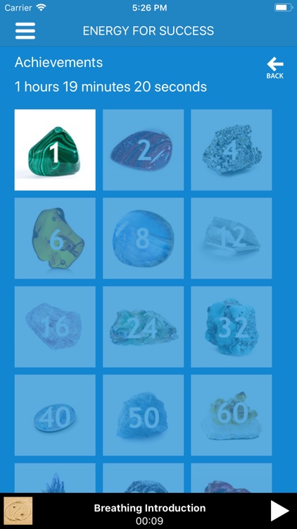 Audio - Energy For Success screenshot-3